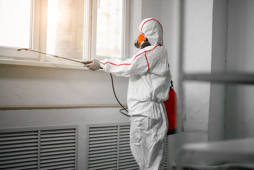 Professional mold remediation services in Grover, NC